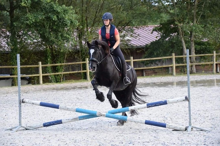 Pension, débourrage - Les écuries de la Tuilière_1
