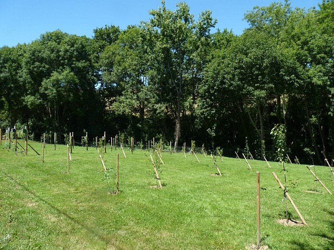 verger bastide lembeye tourisme nord bearn madiran