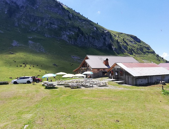 Freu Alpine Pasture