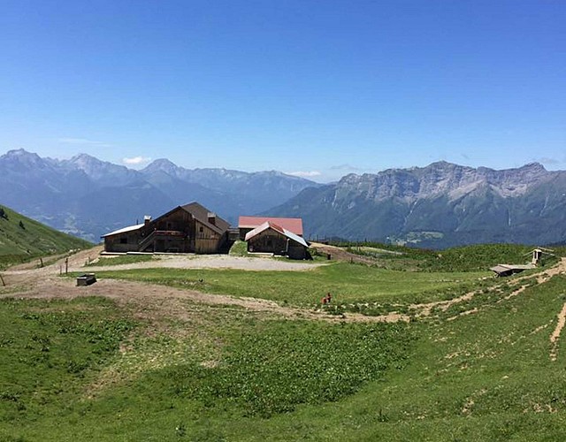 Freu Alpine Pasture