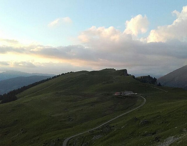 Freu Alpine Pasture