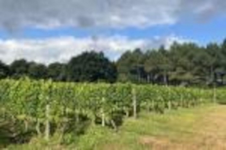 OTPT_LabastideFondousse_Villenave_02