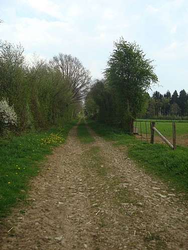 Route Marie -Thérèse