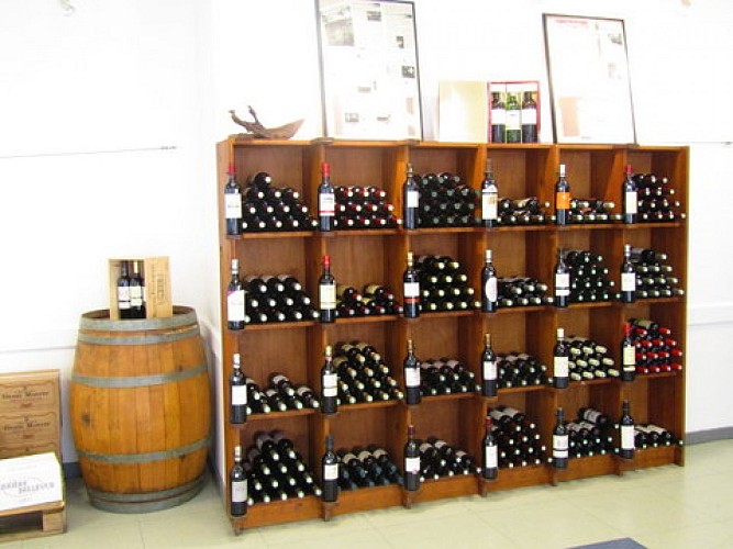 Casier Vins Maison des Vins Ste Foy Côtes de Bordeaux