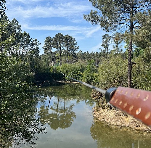 Parcours Aventure 49