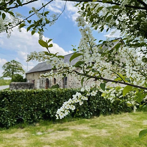 Gîte la Jaguelinière