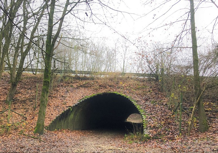 Tunnel sous la N25