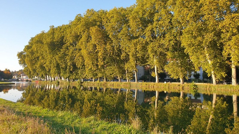 Canal de la Marne au Rhin