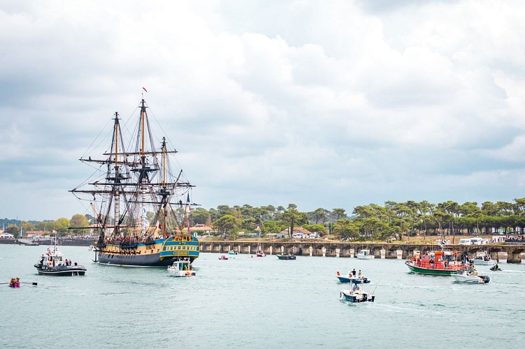 Hermione_Anglet_IMG_9965