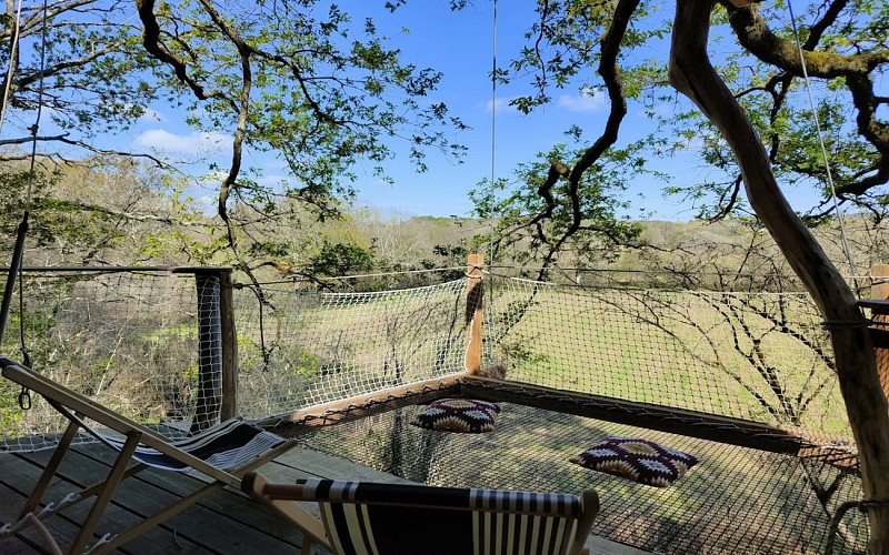 Cabane-filet-1440x900