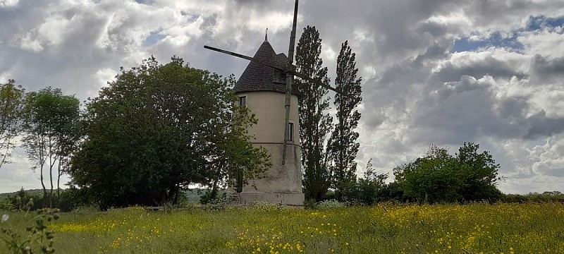 GÎTE "LE MOULIN À VENT - LE CHAMP DU TRAIL"