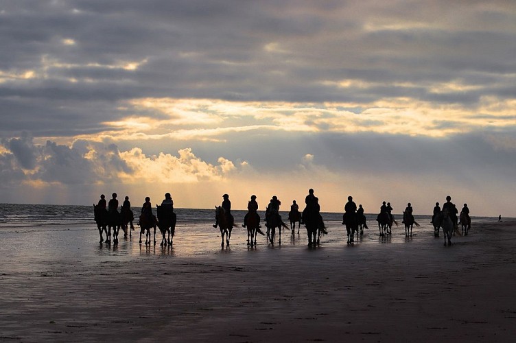 Ecurie du Bois du Cher - Poney Club
