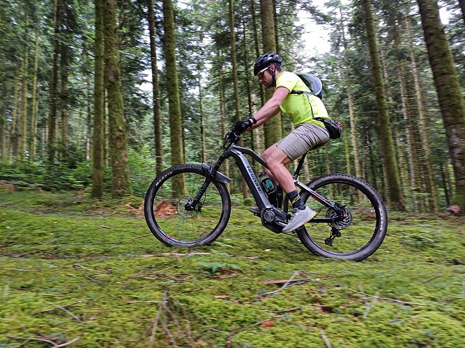 © Roue Léo Vert (1)