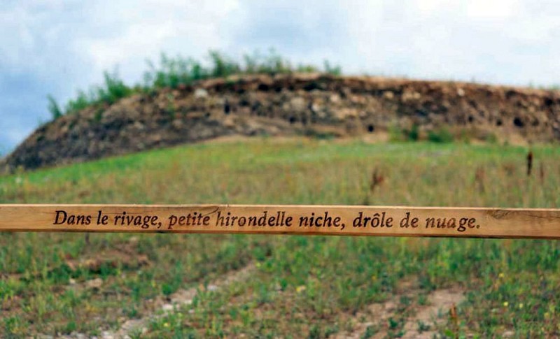 Réserve départementale de biodiversité d’Argentat-sur-Dordogne