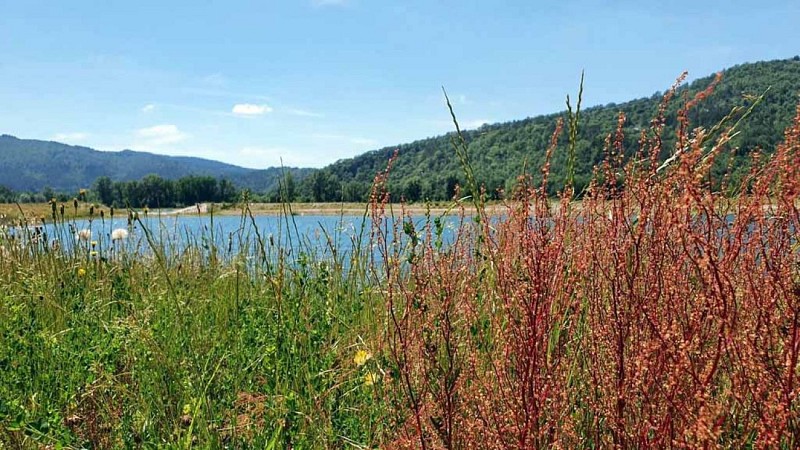 Réserve départementale de biodiversité d’Argentat-sur-Dordogne