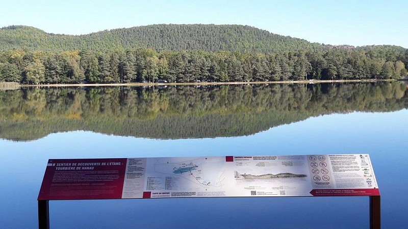 THE PEAT BOG AT HANAU LAKE