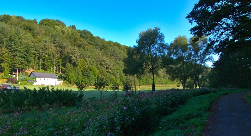 Vallée de la Horn entre Hanviller et Bousseviller