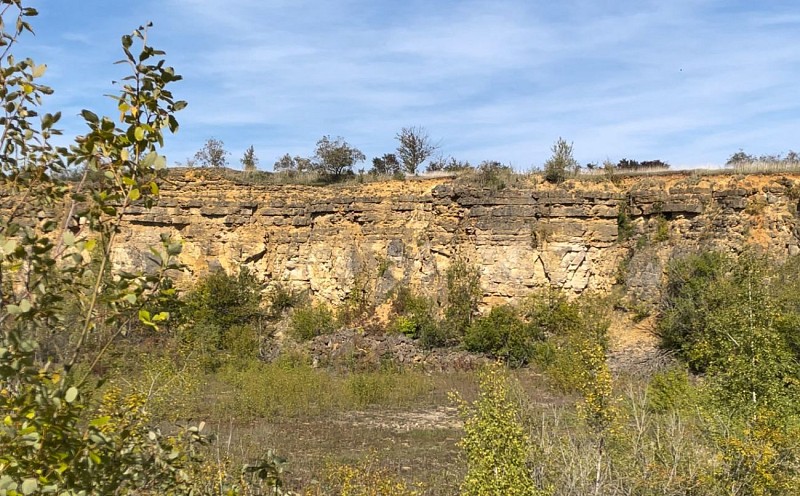 De kalkgraslanden van Lorry Mardigny