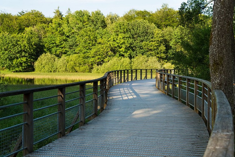 Lac de Bouzey