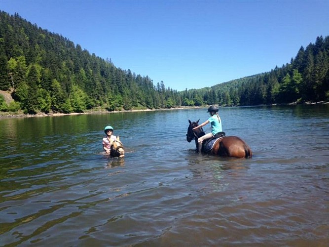 Possibilité de baignade avec les chevaux en fonction de la météo et de l'envie du cheval. A partir de la demi journée