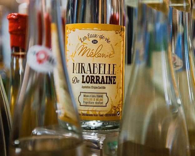 Mirabelle de Lorraine