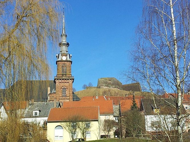 DER PARK DES STADTWEIHERS