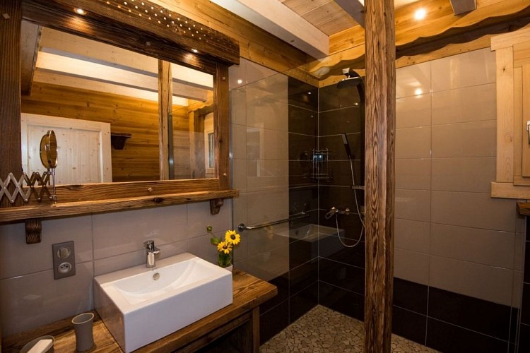 Chalet 13 personnes la Nolière