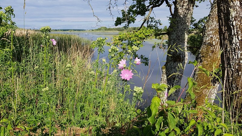 Aire de stationnement