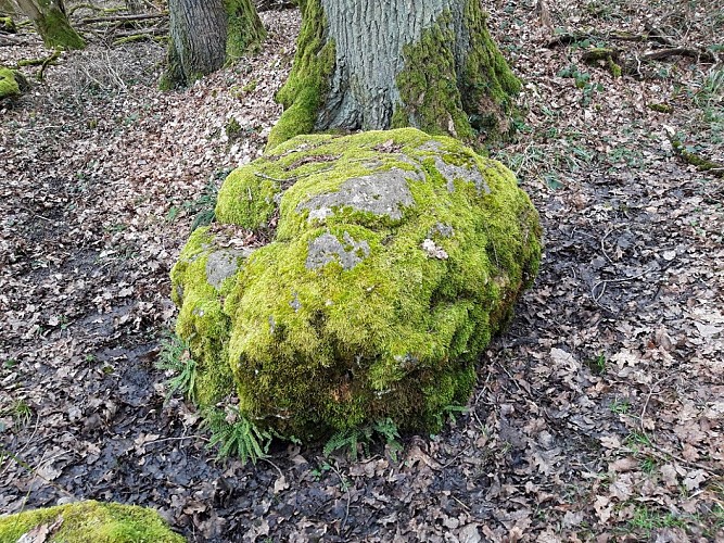 Pierre tournante dicke udel