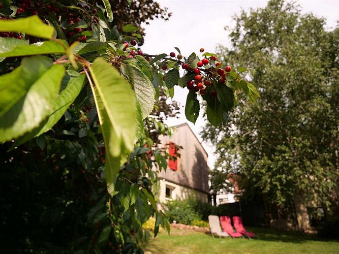 GÎTE LA COLLINE VIVANTE