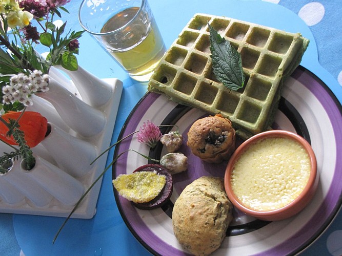 Gîte Bleu & Sauvage