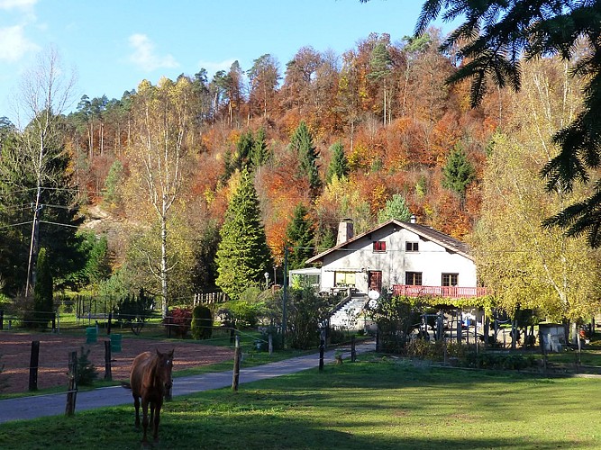 Maison sur 1ha de terrain avec une belle grande terrasse. Dans le jardin: tyrolienne, trampoline et balançoire.
De nombreux animaux à nourrir: chevaux, lapins et cochons d'inde.