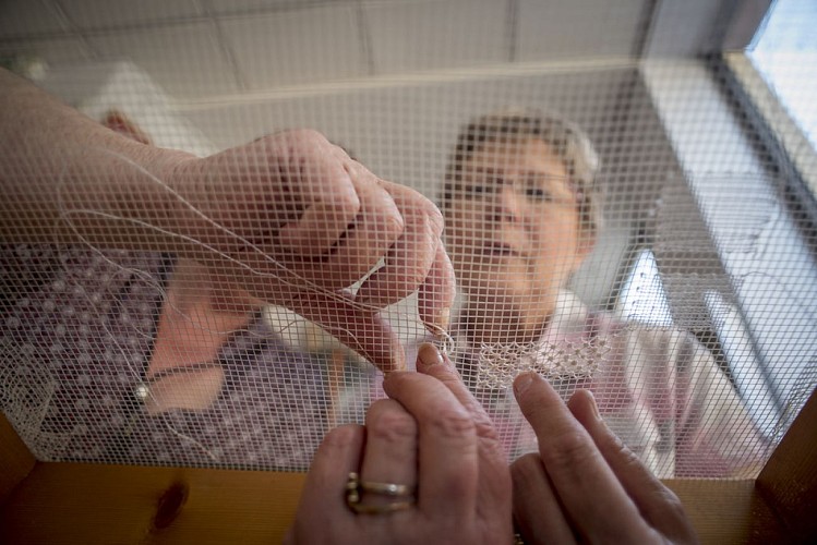 Atelier du Poinct de Tulle – dentelle à l'aiguille_1
