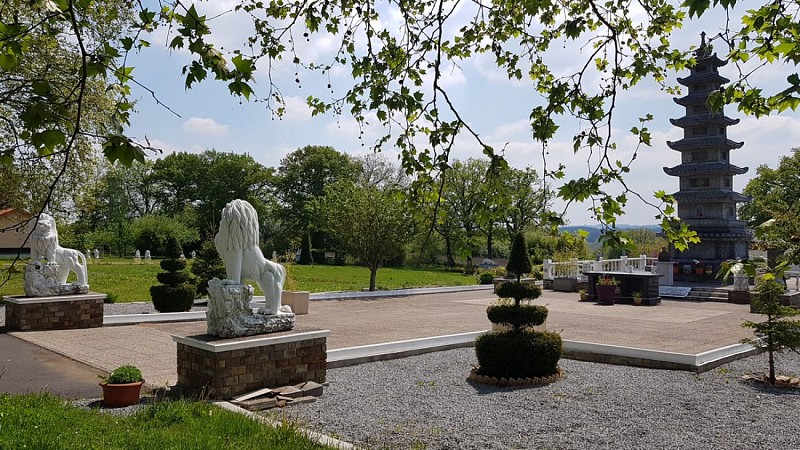 20190430_133323-light