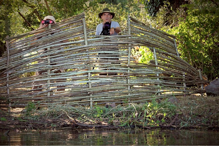 Les étangs de la Cazine
