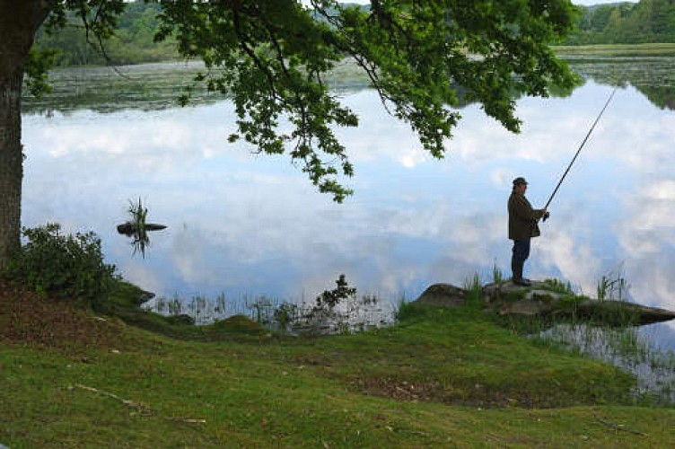 Les étangs de la Cazine_2