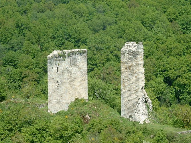 Carbonnières Towers
