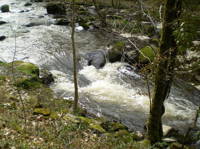 Bords de la Sédelle_1