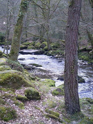 Bords de la Sédelle_2