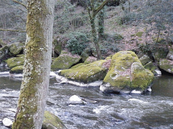 Bords de la Sédelle_3