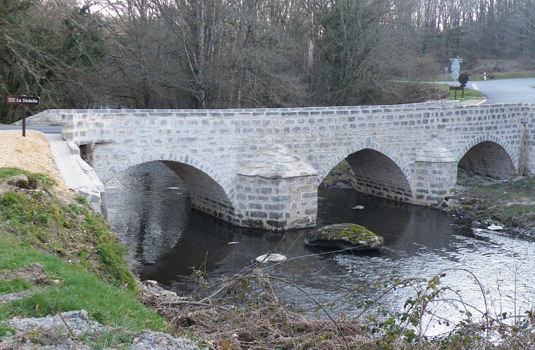 Bords de la Sédelle_4