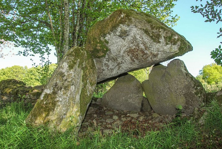 Pierre pécoulière_1