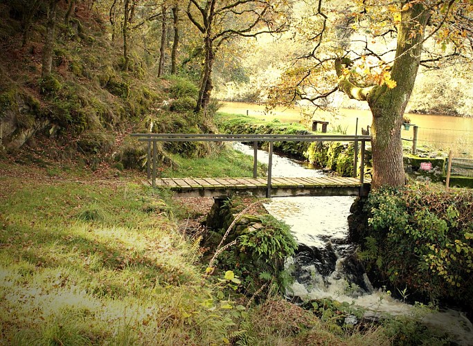 Passerelle sur la Sédelle en contrebas du peu de Châtelus_3