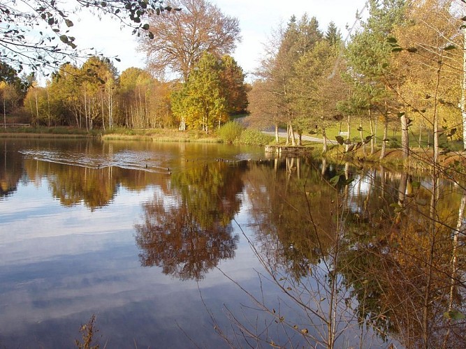 Hôtel Restaurant Ibis