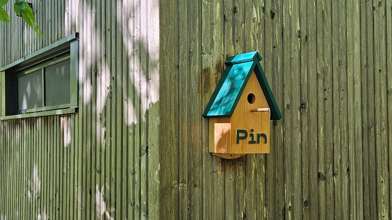 Cabane Pin