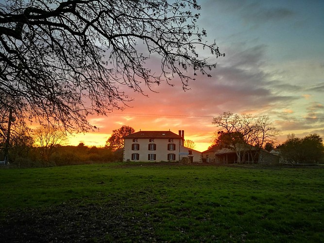 Arrière de la maison_6