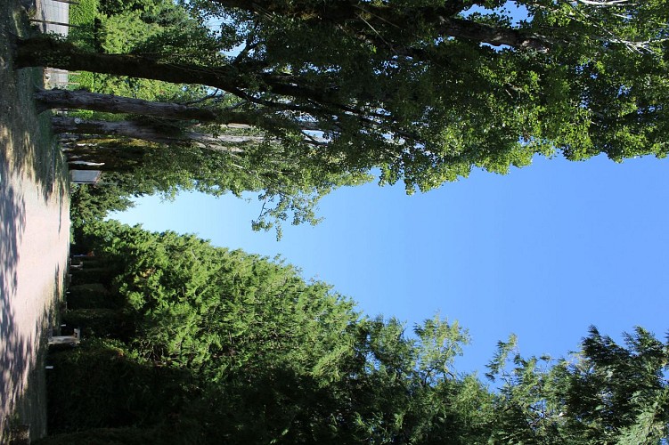 Aire de camping du Parc 1