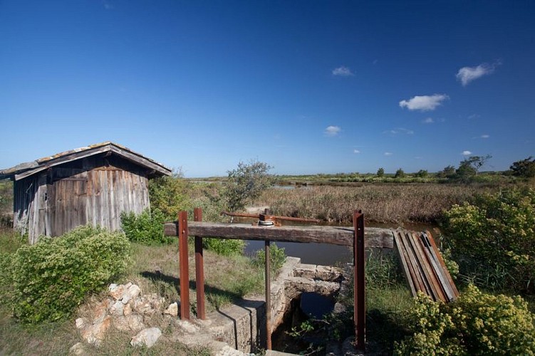 Ile de Malprat