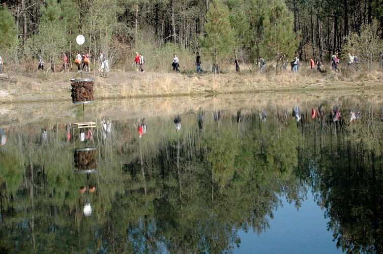 Arue---Lagune-Nabias--15--2