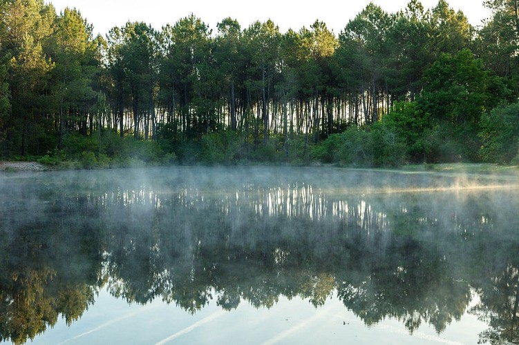 2024 - ARUE - Lagunes de Nabias